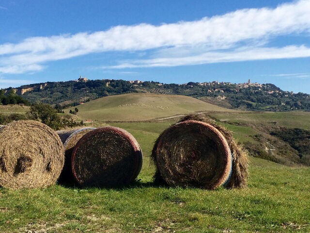 Colline Toscane della Valdelsa